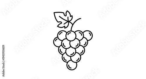 A bunch of purple grapes hanging.