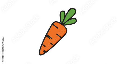 Fresh orange carrot vegetable.