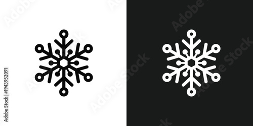 Illustration of black and white snowflakes and black backgrounds, isolated shapes