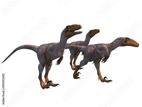 Deinonychus velociraptor dinosaur 3d render