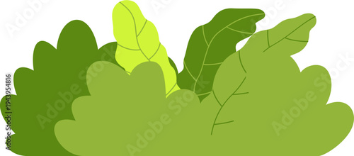 Green Foliage Illustration