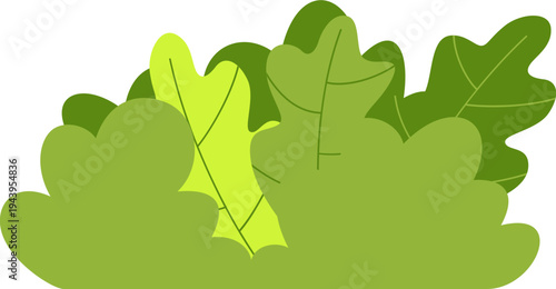Green Foliage Illustration