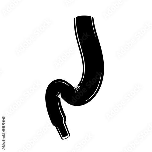 Abstract graphic icon featuring a simplified black silhouette of a human stomach, depicting internal anatomy and the digestive system for medical and health-related content and design