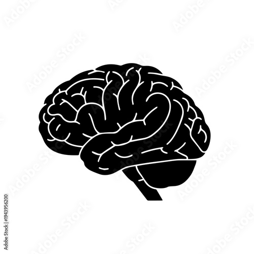 Stylized human brain graphic illustration representing intelligence, thought, and the complexities of the mind. A conceptual vector art symbol of consciousness and intellect