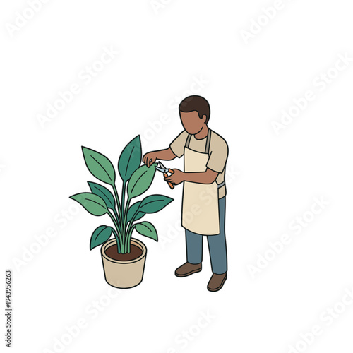 Man pruning large green plant in pot with gardening shears indoors