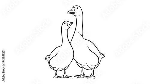 Pair of Geese, Outlined: A charming illustration depicts a pair of geese standing side-by-side, their forms elegantly outlined, creating a simple yet captivating artistic composition.