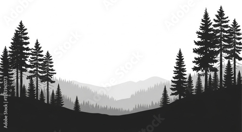 Silhouette of pine trees landscape.