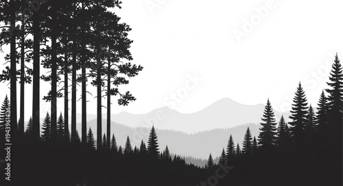 Silhouette Trees Mountain Landscape Nature.