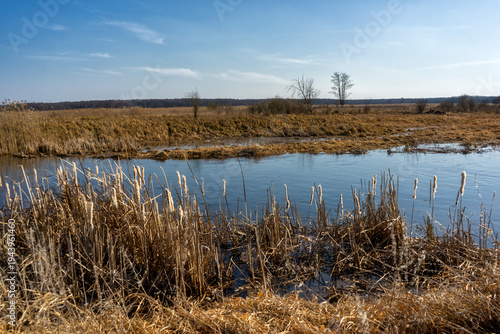 Przedwiośnie w Narwiańskim Parku Narodowym, Podlasie, Polska
