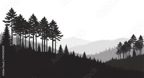 Silhouette Trees on Hilltop Landscape.