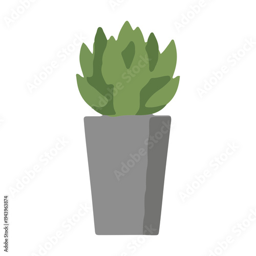 Potted Succulent Plant Icon
