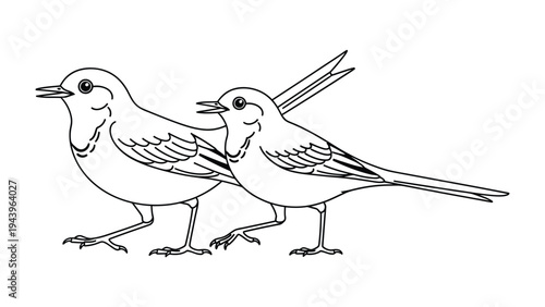 Graceful Birds in Profile: Two meticulously drawn birds stride confidently, capturing the essence of avian elegance and movement, ideal for design.