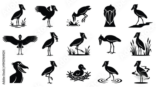 Collection of Silhouetted Water Birds in Various Poses and Activities, Including Feeding and Nesting.