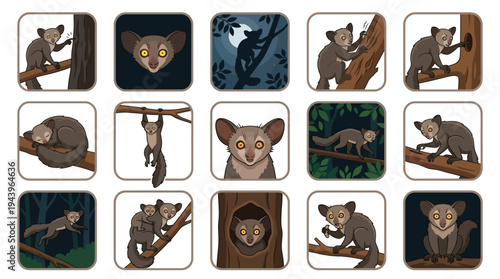 Collection of illustrations depicting aye-ayes in various natural poses and environments, showcasing their unique features and arboreal lifestyle.