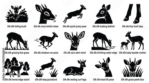 Collection of Silhouetted Dik-Dik Antelope Poses and Actions in Various Natural Settings.