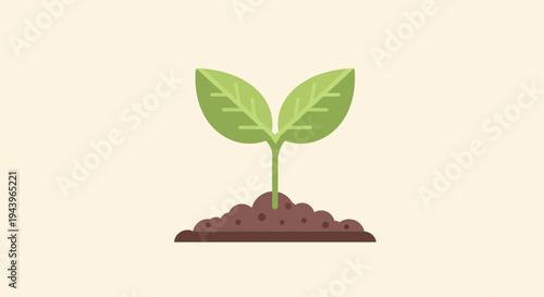 A young green seedling emerging from rich soil, symbolizing new life and growth