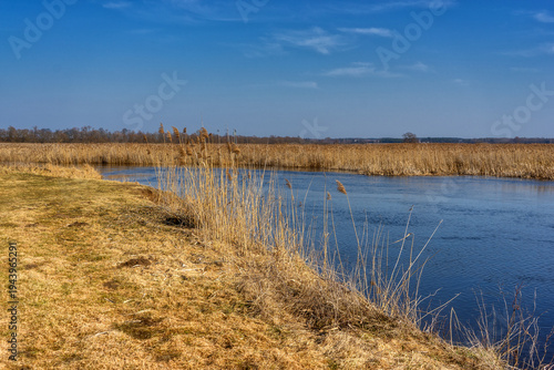 Przedwiośnie w Narwiańskim Parku Narodowym, Podlasie, Polska