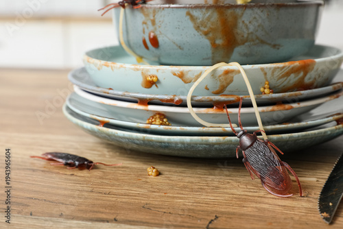 Dirty dishes with cockroach...