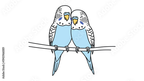 Budgies' Embrace: A tender moment as two budgies perch together, their affectionate gaze and closeness symbolizing companionship and mutual warmth.