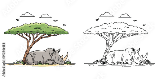 Rhino Resting Under Acacia Tree on African Savanna Vector Illustration. Dual Set with Color and Black Outline Coloring Page Style.