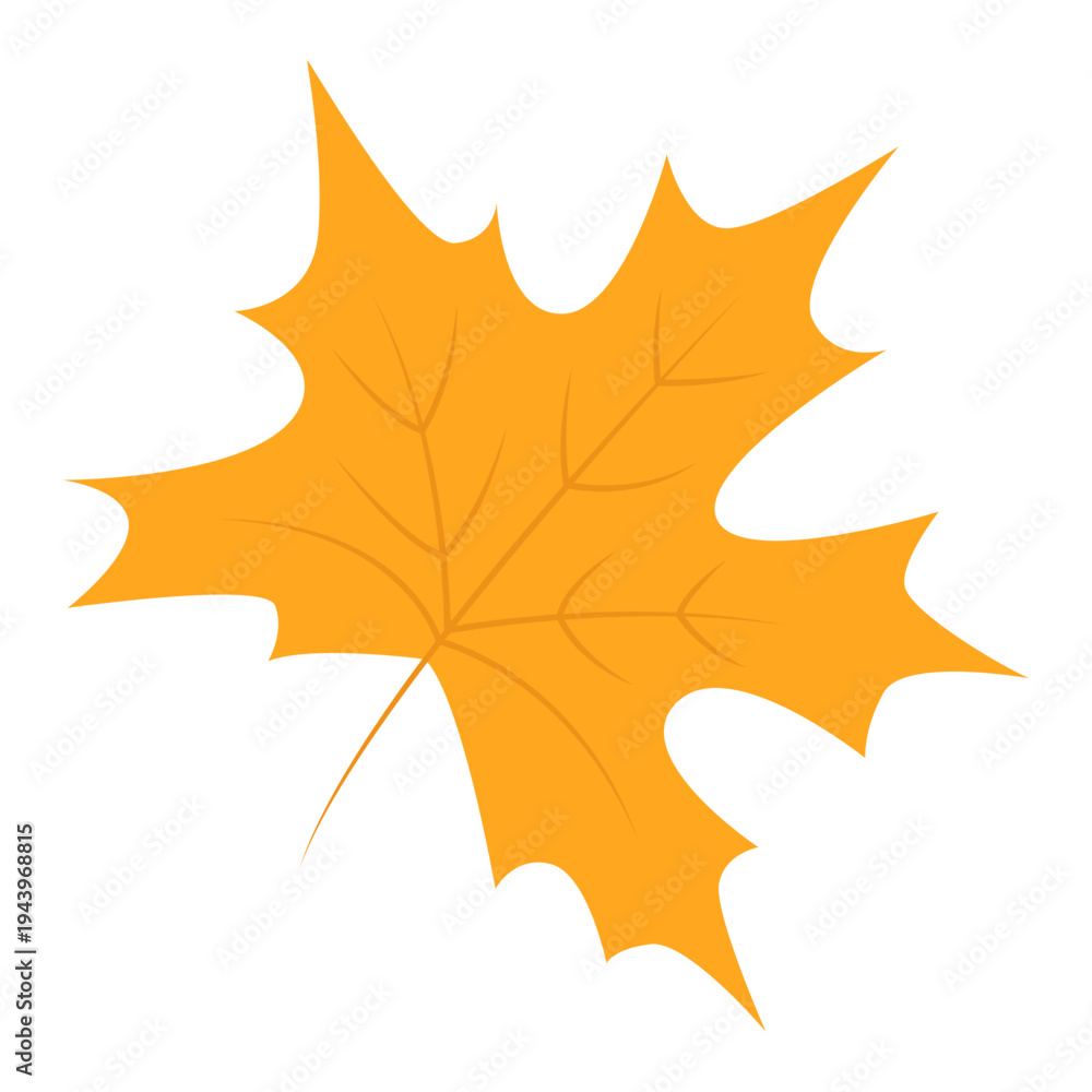 Obraz premium Autumn Maple Leaf Illustration