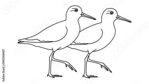 Marching Birds Silhouette: A line illustration showcases two graceful birds in mid-stride, captured in a simple yet elegant black-and-white design. 