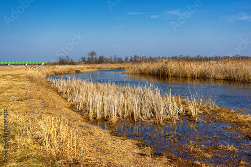 Przedwiośnie w Narwiańskim Parku Narodowym, Podlasie, Polska