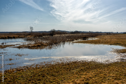 Przedwiośnie w Narwiańskim Parku Narodowym, Podlasie, Polska