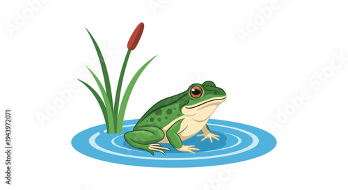 Green frog sitting on a lily pad in water.