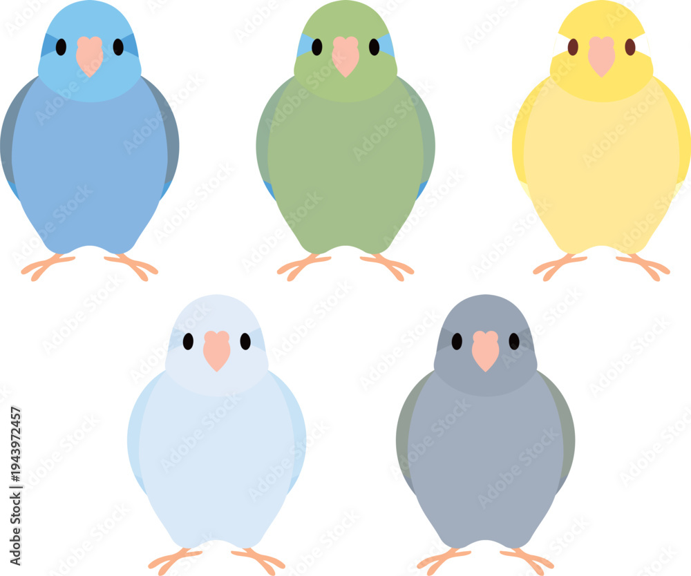 Fototapeta premium マメルリハインコ セット