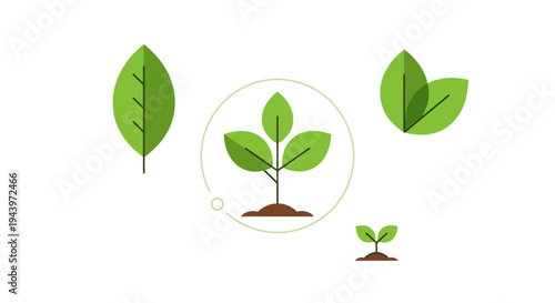 Green Sprouts and Leaves Symbolizing Growth and Nature.