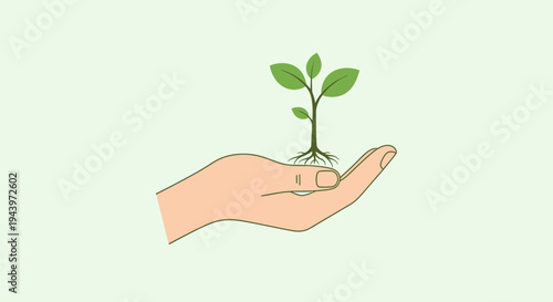Hand holding a small green plant with roots and leaves.