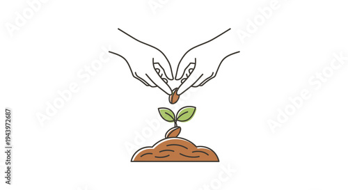 Hands planting a seed to grow a new plant.
