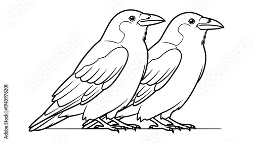 Elegant Crow Silhouette: A stark black and white depiction of two sleek crows perched together, showcasing their poised stature and distinctive features.
