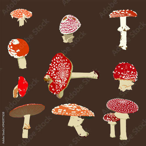 Set hand drawn amanita mushroom on a brown background. Vector illustration