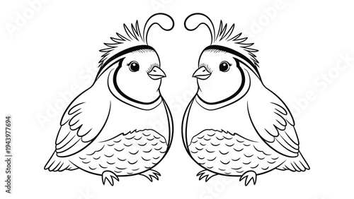 California Quail Sketch: Two charming California quail birds, meticulously sketched in a clean, minimalist style, perfect for coloring page and craftwork.