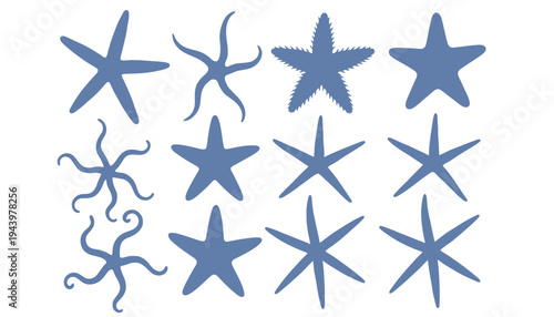 A starfish illustration set of various blue sea creatures on white background