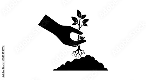 Hand planting a small seedling with roots in soil.