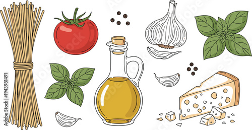 Italian cooking ingredients vector set with spaghetti tomato olive oil garlic basil leaves cheese and pepper isolated on white background food illustration.
