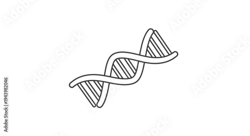 Minimalist line art illustration of a DNA double helix. Genetic code, molecular biology, science, medicine, human genome symbol.