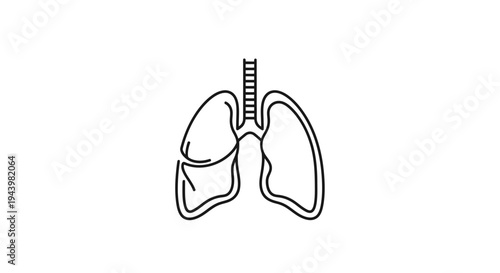 Human Lungs Line Art Illustration. Simple black outline drawing of the respiratory system organ for health, medical, and science concepts.