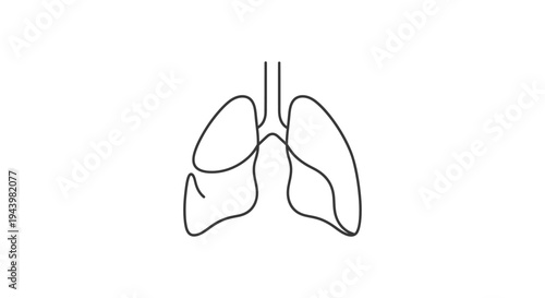 Minimalist One Continuous Line Art Drawing of Human Lungs, Respiratory System Organ, Health, Medical Illustration on White Background