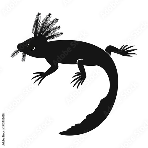 axolotl Animal Vector
