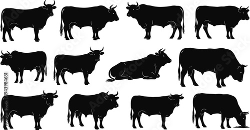 Black Bull and Cow Silhouette Vector Set, Livestock Cattle Icons, Farm Animal Graphics, Beef and Dairy Industry, Isolated Bovine Figures, Rural Ranching Elements, Agriculture Designs