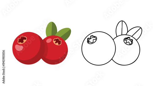 Illustration of two red cranberries with leaves next to a line drawing of the same fruit on a white background.