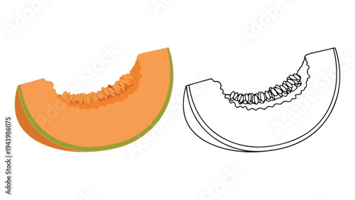 Illustration of a sliced cantaloupe with a green rind next to a black and white line drawing of a cantaloupe slice on a white background.