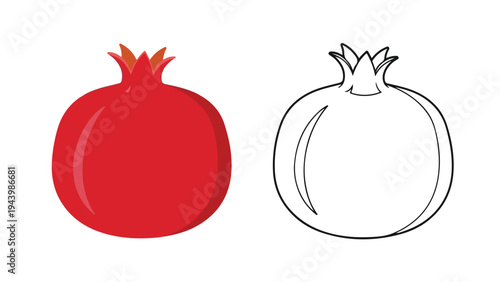 Colorful illustration of a red pomegranate next to its black line drawing on a white background.