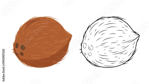 Illustration of a brown coconut and a black and white coconut on a plain white background.