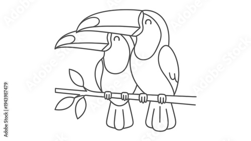Monochrome Toucans Perched: A delicate line drawing captures the essence of two toucans perched upon a slender branch.
