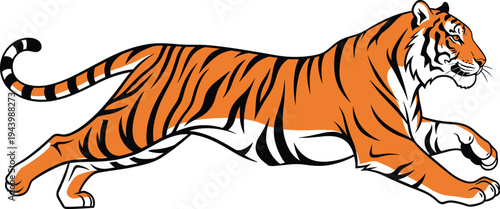 Running tiger side view wildlife predator vector illustration striped big cat isolated on white background for mascot logo design